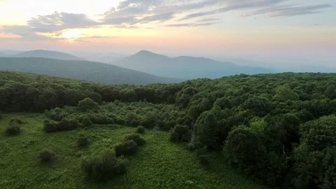 Drone Flight Towards Trees Reveals Green Mountains 動画素材 78283027