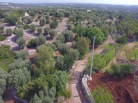 Drone Flight on the trail runners Stock Footage 72469833