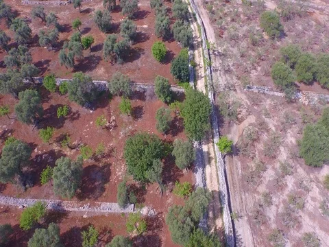 Drone Flight on the trails in the countryside Stock Footage 72471553