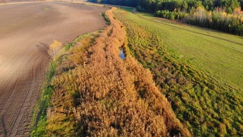 Drone flight under the tin river at the Ukrainian village at the autumn. Stock Footage 97755040