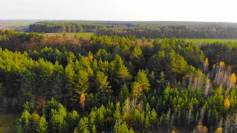 Drone flight under the tin river at the Ukrainian village at the autumn. Video stock 97756035