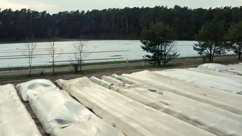 Drone flight upwards over a large asparagus field covered with foil in Germany. Stock Footage 163108605