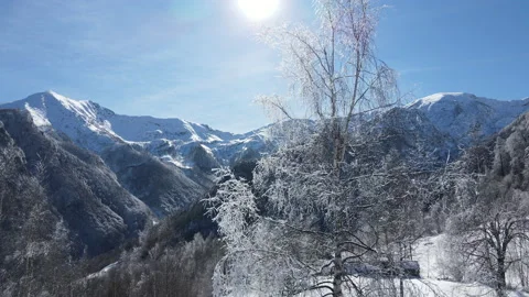 Drone flight very close to the tree in snow covered mountains landscape. wild 4k Stock Footage 149425632