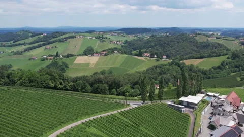 Drone flight wine route in Austria 스톡 동영상 197370055