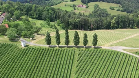 Drone flight wine route in Austria Stock Footage 197370201