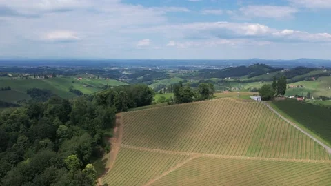 Drone flight wine route in Austria 스톡 동영상 197370523