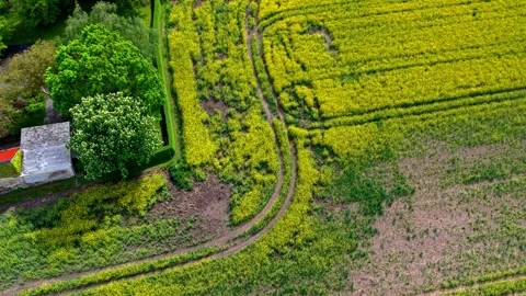 Drone Flight From Yellow Field Toward Viessmann Factory Mittenwalde Vidéo 336537273