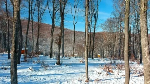 Drone flights in the forest and over skiing people Stock Footage 85028274