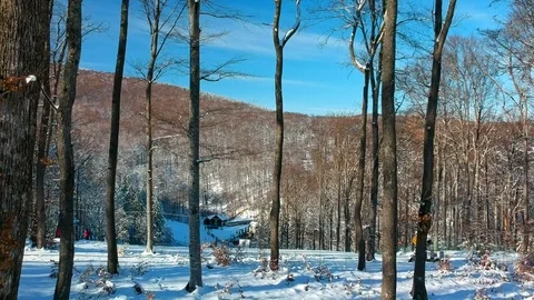 Drone flights in the forest and over skiing people Stock Footage 85028367