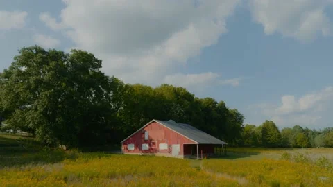 Drone Flowers Red Barn Stock Footage 234634022
