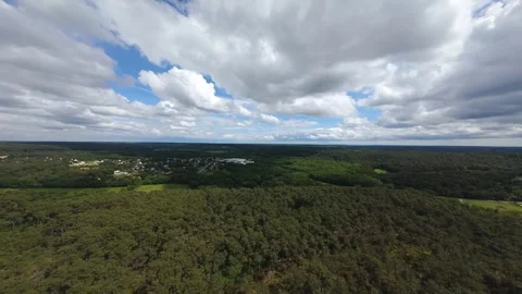 Drone flowingin forest Stock Footage 314055011