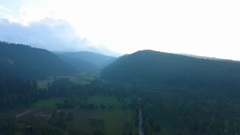 Drone fly 360 degrees over mexican forest the Ajusco with pine trees Stock Footage 96484975