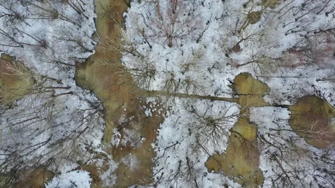 Drone fly up above early spring time swampy forest, aerial Stock Footage 232104295