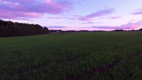A drone fly above fields Video stock 82722021