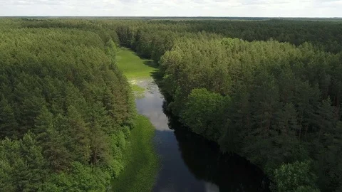 Drone fly above the long lake and forest Stock Footage 76869836