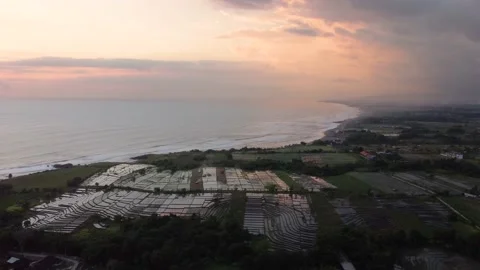 Drone fly above ocean coastline and rice field agricolture plowed land Stock Footage 143453762