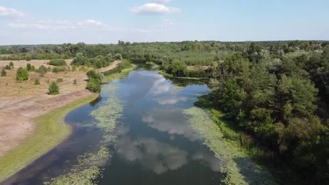 Drone fly above summer nature river Stock Footage 183997102