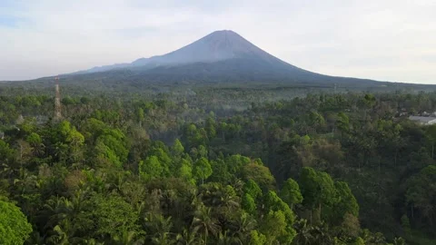 Drone fly above thick tropical jungle toward beautiful Semeru volcano in Java Stock Footage 293601071