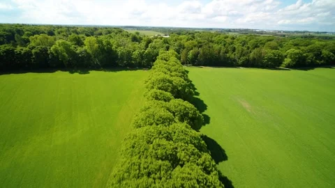 Drone fly backwards over beautiful road on the Danish countryside 4K 2 Video stock 242595180