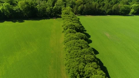 Drone fly backwards over beautiful road on the Danish countryside 4K Stock Footage 242595251