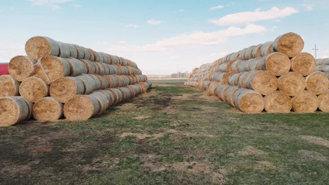 Drone fly between Hay bales on sunny day. Harvesting in agriculture. Agriculture Stock Footage 129550226