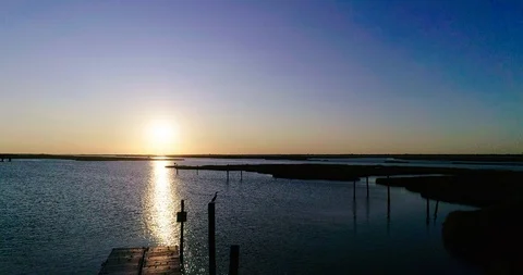 Drone fly into beutiful sunset bird flies away Stock Footage 116514059