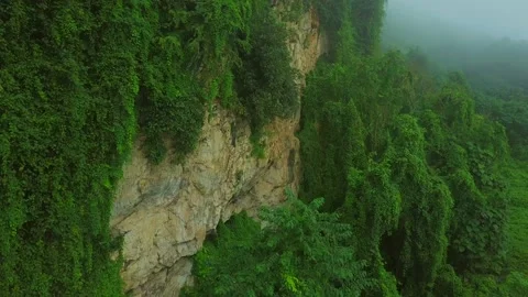 Drone Fly by the cave in Mountain in National Park of Thailand 動画素材 139818082