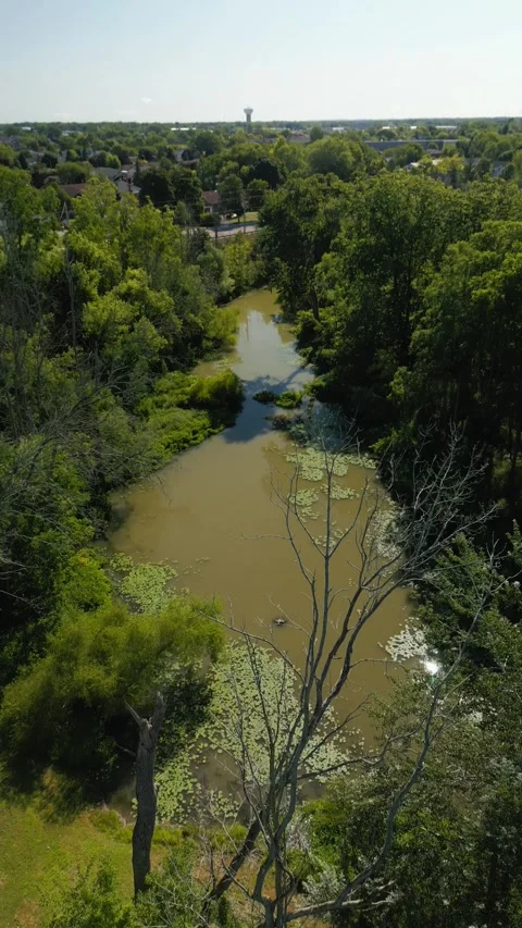 Drone fly-down with pan-up over pond surrounded by trees and houses Video stock 316658295