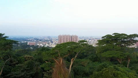 Drone fly from forest top to see a downtown Vídeo Stock 97589148