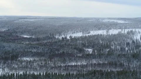 Drone fly high above winter forest in Finland on a cloudy day Stock Footage 275260352