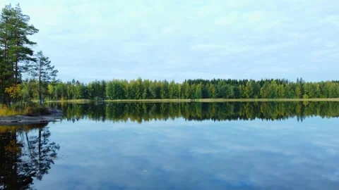 Drone fly low 動画素材 230261901