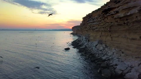 Drone fly near rocks at sunset, cormorants take off from rocks 動画素材 148565357