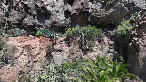 Drone Fly-Out from Rocky Terrain Revealing Majestic Mountain – Tropical Stock Footage 310146367