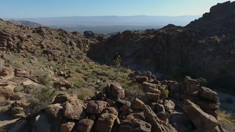 Drone fly over Agave Plants and rock  Desert Mountains 스톡 동영상 148509411
