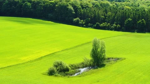 Drone fly over beautiful green field 4K Stock Footage 237375112