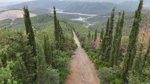Drone fly over the dirt road to small pond landscape. Stock Footage 289580958
