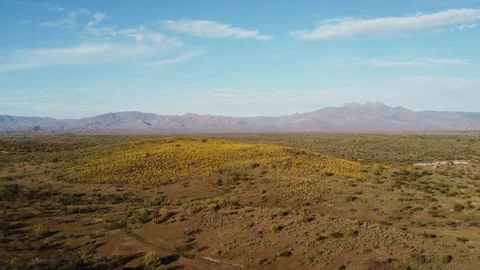 Drone Fly Over Of Expansive Blooming Sonoran Desert Landscape In Arizona Stock Footage 345264436