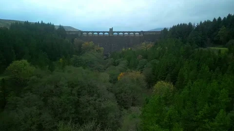 Drone fly over forest and dam wall Stock Footage 220957315