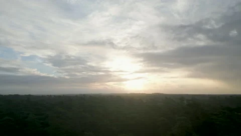 Drone fly over forest in the early morning Stock Footage 217954129