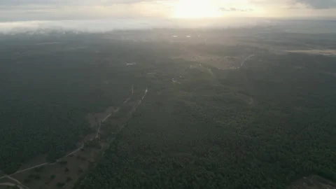 Drone fly over forest in the early morning Stock Footage 217954314