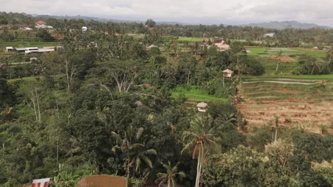 Drone Fly-Over of Gardens and Rice Terraces in Jatiluwih, Bali Indonesia Stockbeeldmateriaal 323642686
