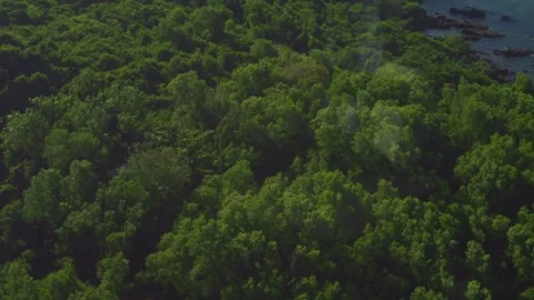 Drone fly over green forest aerial tramway over tropical islands and blue ocean. Video stock 132796684