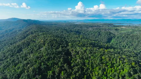 Drone fly over the green mountain Stock Footage 255638448