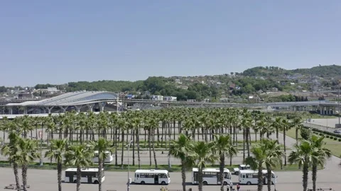 Drone fly over iconic palm tree lined street with the city skyline in the 動画素材 154449524