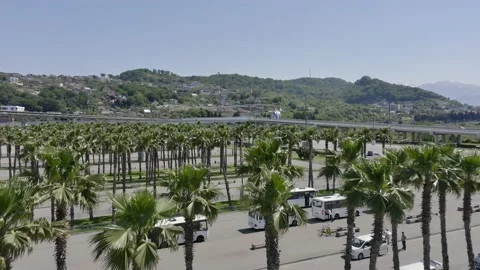 Drone fly over iconic palm tree lined street with the city skyline in the 動画素材 154481372