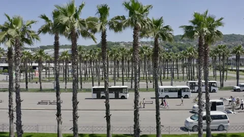 Drone fly over iconic palm tree lined street with the city skyline in the 動画素材 154523378