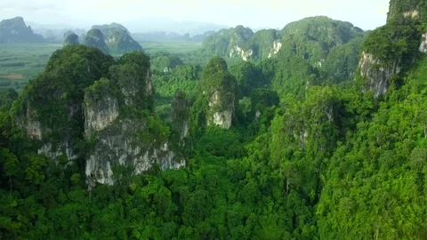 Drone fly over jungle and rocky Mountains in Thailand 動画素材 139877957