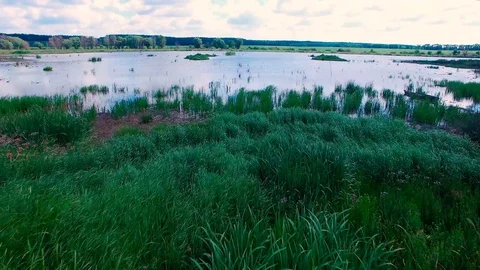 Drone fly over the lake Video stock 114180885