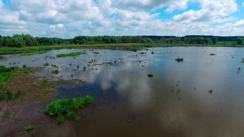 Drone fly over the lake Video stock 114181509