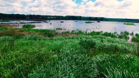 Drone fly over the lake Video stock 114181971